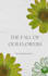 design ebook cover, paperback cover