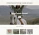 build and launch your shopify store