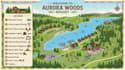 craft stunning map for campgrounds, parks, tourism, event
