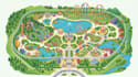design hiking trail map, adventure, walking, bile trail map, park navigation
