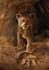 create dreamy digital animals