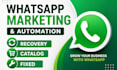setup whatsapp business automation and broadcasts