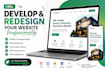develop and redesign your website professionally
