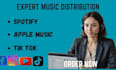 music distribution to spotify apple music tiktok and  global streaming platform
