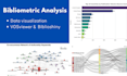 do professional bibliometric analysis and data visualization