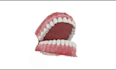 create scientifically accurate 3d medical animation, 3d dental animation