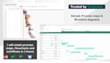 create gantt chart, project schedule and timeline in 3 hours