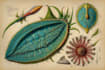 do medical and scientific illustrations