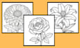 create children coloring pages and books