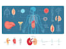 draw medical illustrations and diagrams