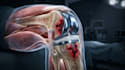 create ai powered 3d medical animation, anatomy visualization, explainer video