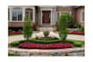 design and render your landscape design