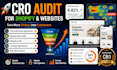 do conversion rate optimization cro audit, shopify audit, website audit b2b cro