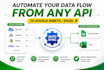 automate any API to google sheets or excel using python