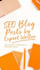 write SEO blog and posts website content in 24 hrs