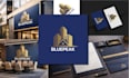 design a professional logo and brand identity for your business or brand