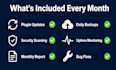 be your white label wordpress developer for monthly website maintenance and care