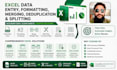 perform excel data cleaning, formatting and organizing