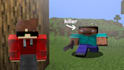 do professional minecraft video editing