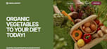 provide professional IT consulting and web solutions