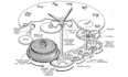 design precise 3d cad watch design with technical drawings for manufacturing