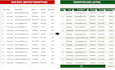 do excel data formatting and data cleaning