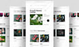 design professional mailchimp email template newsletter mailchimp template