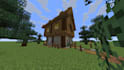 be your professional minecraft builder