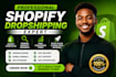 build a profitable shopify dropshipping store