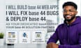 build base 44 web app, fix base 44 bugs, deploy base 44, base 44 expert