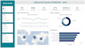 build a professional power bi dashboard with KPI insights