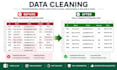 expert data cleaning formatting and deduplication