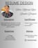 design an attractive and professional CV