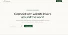 build your mvp web app with ai