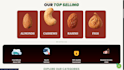 create a professional responsive website or ecommerce website
