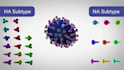create 3d medical animation moa vaccine scientific molecular explainer video