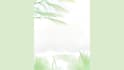 write soft, personalized affirmations