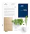 minimalist stationery design for business