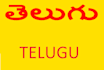 translate english to telugu perfectly
