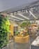 design and render your beautiful and aesthetic florist store