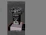 create game character roblox