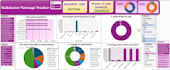 analyze data using spss, stata, r studio and excel