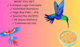 design creative bird logo for your brand