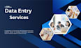 provide expert data entry services