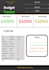 create a professional monthly budget tracker canva template