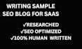 write SEO blog posts and saas article for your website