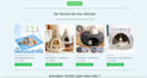 professional woocommerce store setup