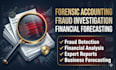 perform forensic accounting fraud investigation