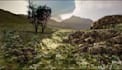 create immersive 3d game environment modeling scenes and custom game map