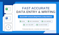 deliver high quality data entry and writing services